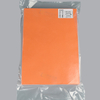 A4 Lint-Free TP Cleanroom Paper